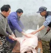 九游官网-出H6~伝H%猪?}S的简单介绍